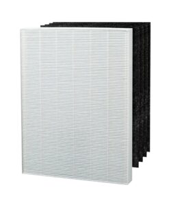 Winix 115115 Replacement HEPA Filter – Filter A
