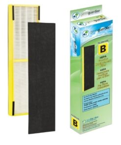 FLT4825 Guardian Technologies GermGuardian FLT4825 Filter B